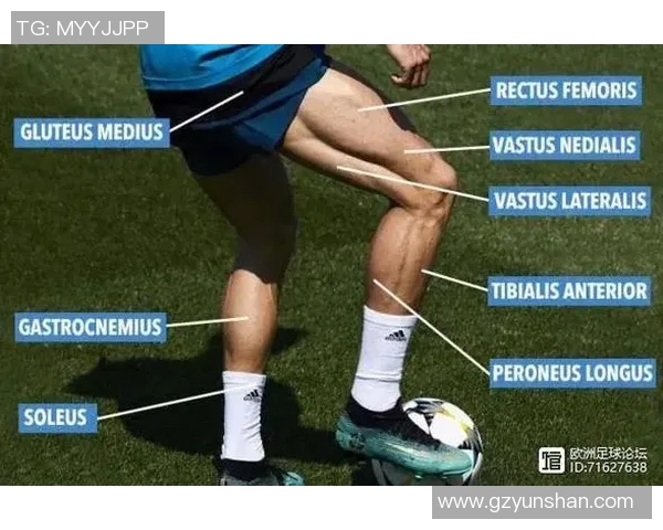足球薪资揭秘：顶级球员年薪背后的秘密与市场影响分析